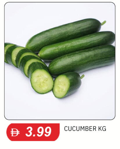 Cucumber available at سوق طلال in الإمارات العربية المتحدة , الامارات - دبي