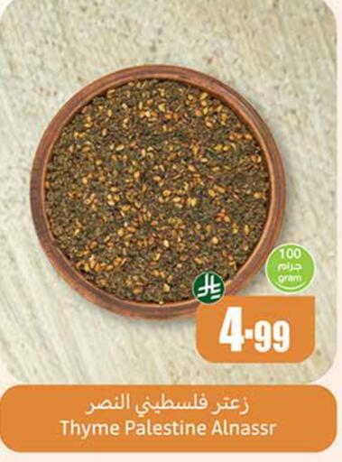 Thyme available at أسواق عبد الله العثيم in مملكة العربية السعودية, السعودية, سعودية - المدينة المنورة