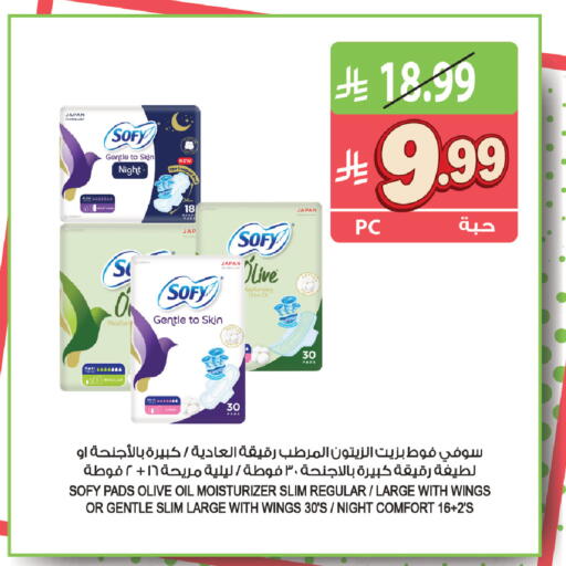 available at المزرعة in مملكة العربية السعودية, السعودية, سعودية - الخرج