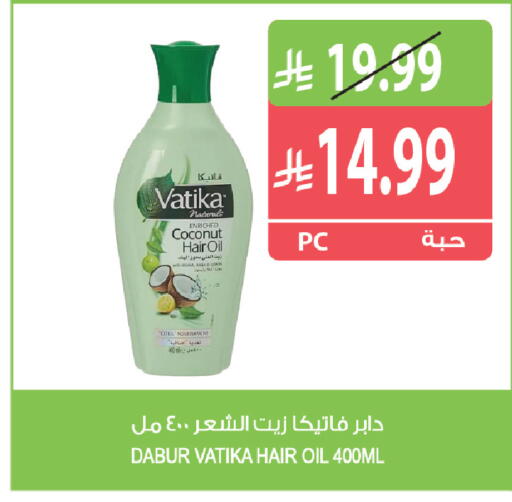 Coconut available at Farm  in KSA, Saudi Arabia, Saudi - Al Khobar