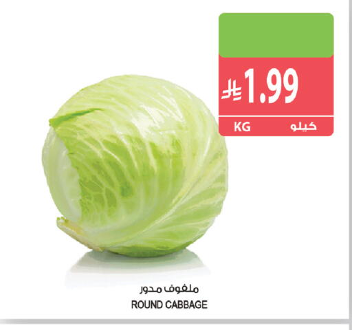 Cabbage available at المزرعة in مملكة العربية السعودية, السعودية, سعودية - الخرج