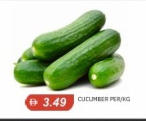 Cucumber available at TALAL MARKET in UAE - Abu Dhabi
