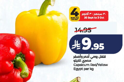 Capsicum from Egypt available at لولو هايبرماركت in مملكة العربية السعودية, السعودية, سعودية - الخرج