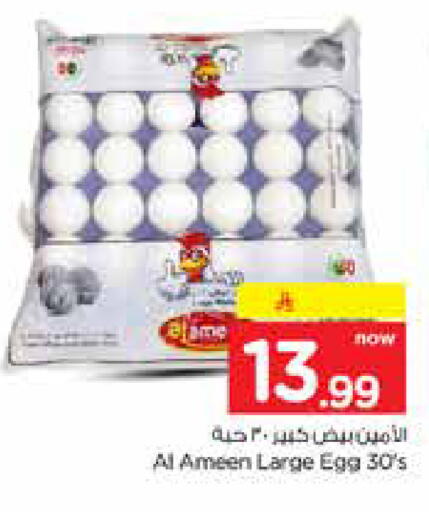 available at نستو in مملكة العربية السعودية, السعودية, سعودية - الخرج
