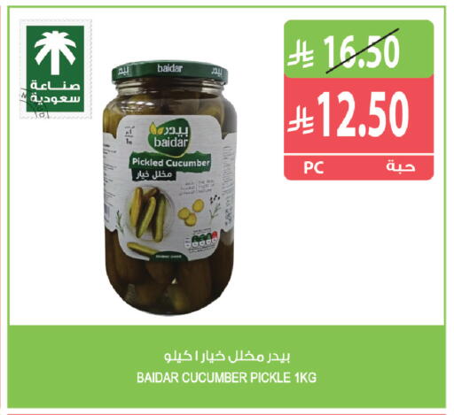 Cucumber available at Farm  in KSA, Saudi Arabia, Saudi - Al Khobar