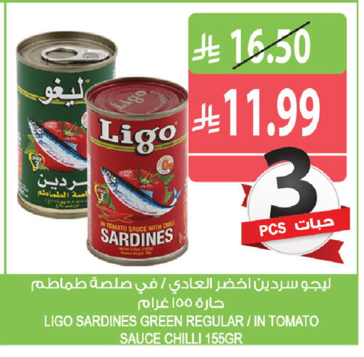 Tomato Chilli available at Farm  in KSA, Saudi Arabia, Saudi - Al Khobar