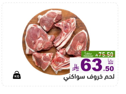 available at أسواق رامز in مملكة العربية السعودية, السعودية, سعودية - تبوك