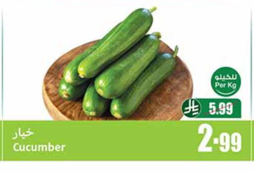 Cucumber available at أسواق عبد الله العثيم in مملكة العربية السعودية, السعودية, سعودية - المدينة المنورة