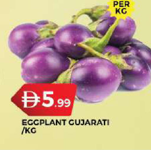 Eggplant available at جراند هايبر ماركت in الإمارات العربية المتحدة , الامارات - دبي