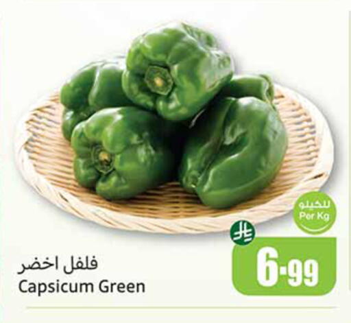 Capsicum available at Othaim Markets in KSA, Saudi Arabia, Saudi - Medina