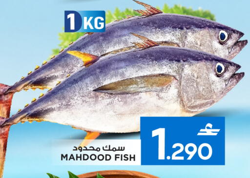 available at MARK & SAVE in Oman - Sohar
