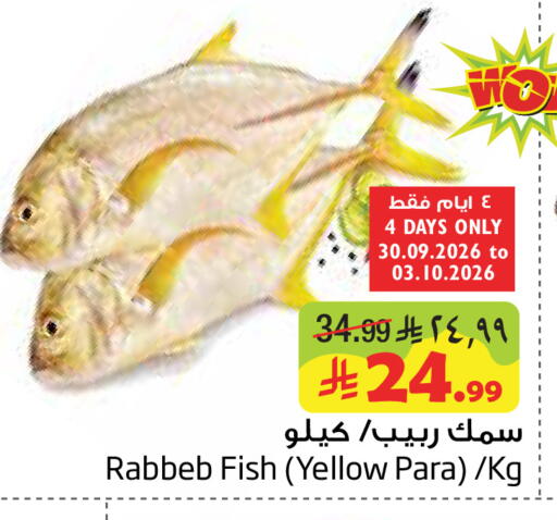 available at Layan Hyper in KSA, Saudi Arabia, Saudi - Al Khobar