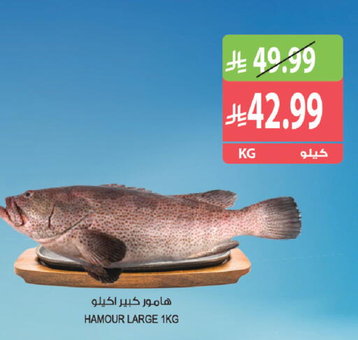 available at Farm  in KSA, Saudi Arabia, Saudi - Al Khobar