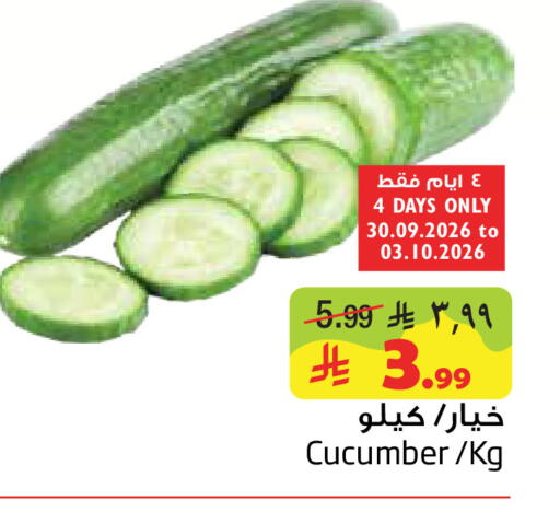 Cucumber available at Layan Hyper in KSA, Saudi Arabia, Saudi - Al Khobar