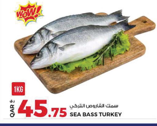 available at روابي هايبرماركت in قطر - الدوحة