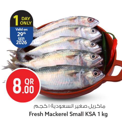 available at سفاري هايبر ماركت in قطر - الضعاين