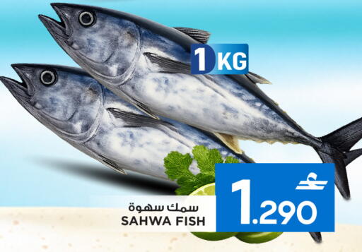 available at MARK & SAVE in Oman - Sohar