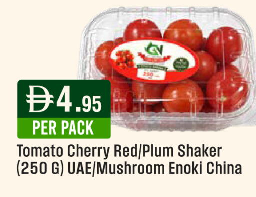 Cherry Plum Tomato Mushroom from China available at West Zone Supermarket in UAE - Abu Dhabi