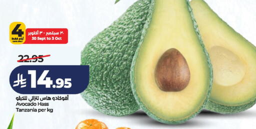 Avocado from Tanzania available at لولو هايبرماركت in مملكة العربية السعودية, السعودية, سعودية - الخرج