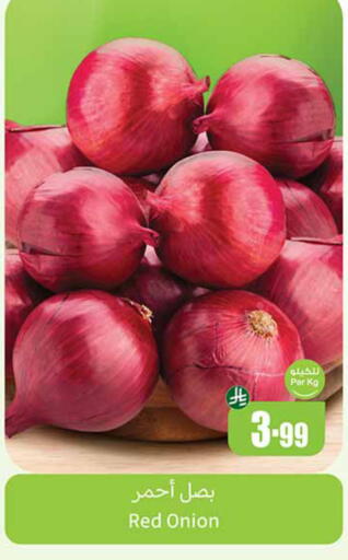 Onion available at Othaim Markets in KSA, Saudi Arabia, Saudi - Medina