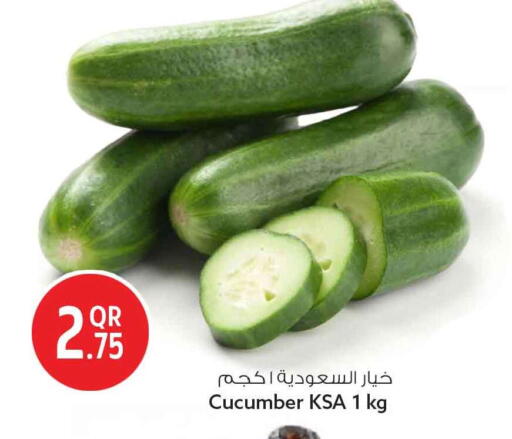 Cucumber available at سفاري هايبر ماركت in قطر - الضعاين