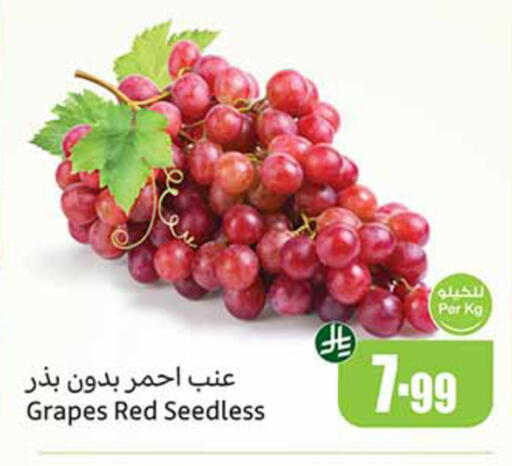 Grapes available at Othaim Markets in KSA, Saudi Arabia, Saudi - Medina