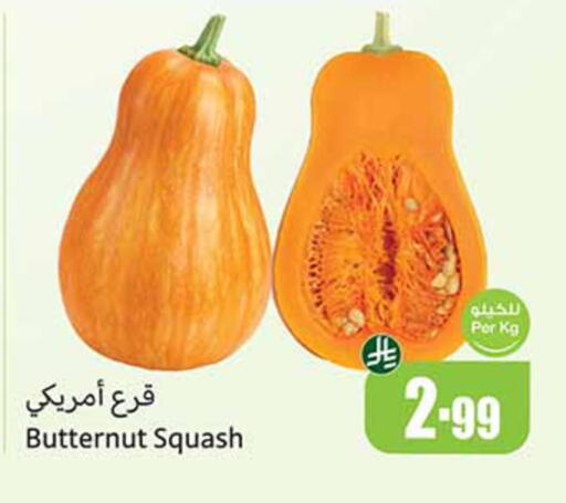 Squash available at أسواق عبد الله العثيم in مملكة العربية السعودية, السعودية, سعودية - المدينة المنورة