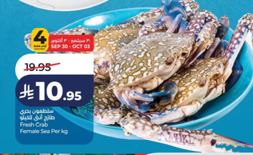 available at لولو هايبرماركت in مملكة العربية السعودية, السعودية, سعودية - الخبر‎