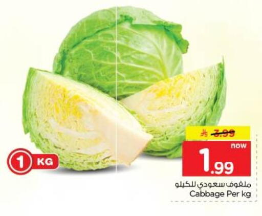Cabbage available at نستو in مملكة العربية السعودية, السعودية, سعودية - الخبر‎