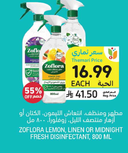 Lemon available at Tamimi Market in KSA, Saudi Arabia, Saudi - Medina
