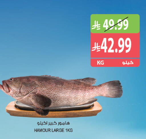 available at Farm  in KSA, Saudi Arabia, Saudi - Tabuk