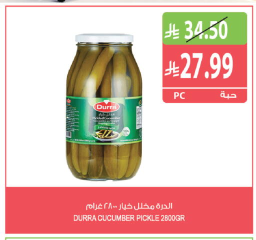Cucumber available at Farm  in KSA, Saudi Arabia, Saudi - Al Khobar