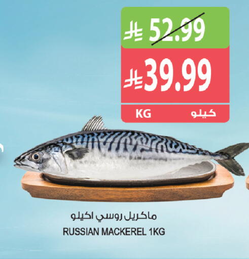 available at Farm  in KSA, Saudi Arabia, Saudi - Tabuk