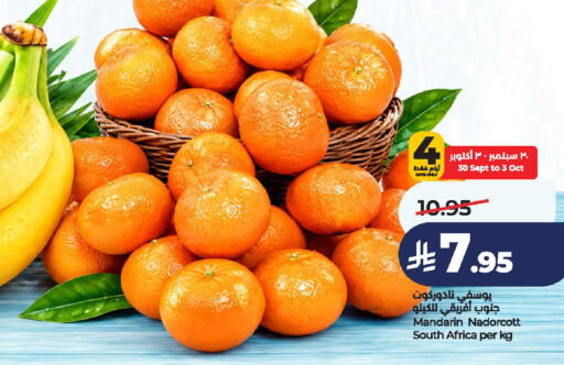 Mandarin from South Africa available at لولو هايبرماركت in مملكة العربية السعودية, السعودية, سعودية - الخرج
