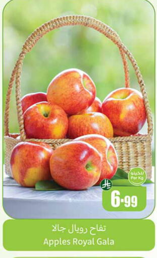 available at Othaim Markets in KSA, Saudi Arabia, Saudi - Medina