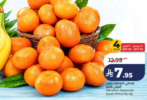 Mandarin from South Africa available at لولو هايبرماركت in مملكة العربية السعودية, السعودية, سعودية - الخبر‎