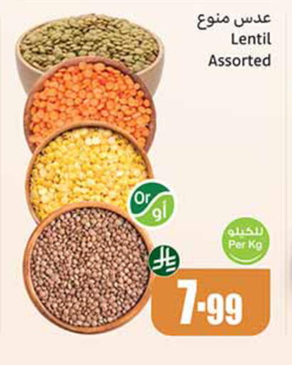 available at Othaim Markets in KSA, Saudi Arabia, Saudi - Medina