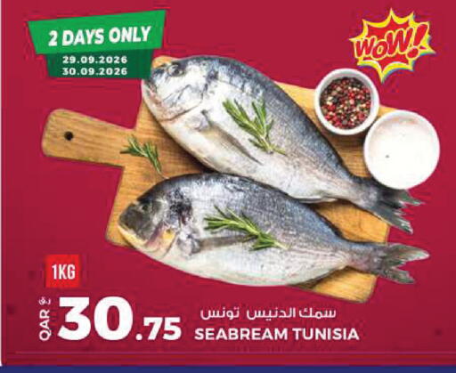 available at روابي هايبرماركت in قطر - الضعاين