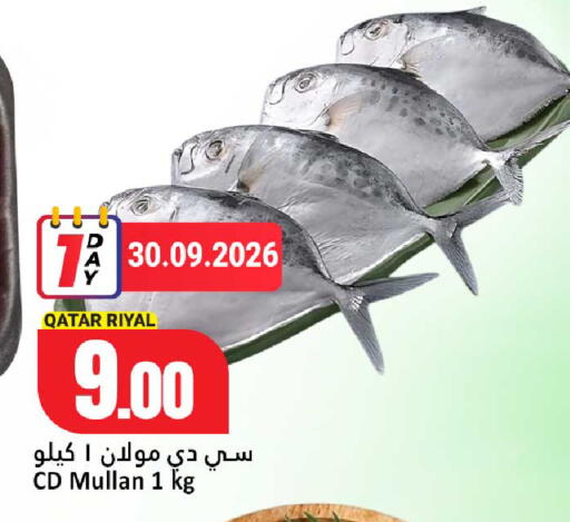 available at دانة هايبرماركت in قطر - أم صلال
