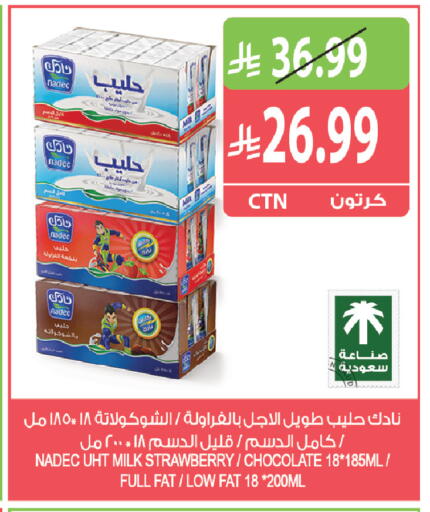 Strawberry available at المزرعة in مملكة العربية السعودية, السعودية, سعودية - الخرج