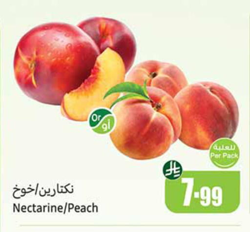 Nectarine Peach available at Othaim Markets in KSA, Saudi Arabia, Saudi - Medina