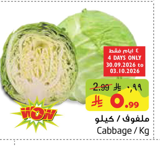 Cabbage available at Layan Hyper in KSA, Saudi Arabia, Saudi - Al Khobar