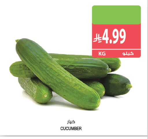 Cucumber available at المزرعة in مملكة العربية السعودية, السعودية, سعودية - الخرج