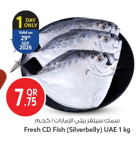 available at سفاري هايبر ماركت in قطر - الضعاين