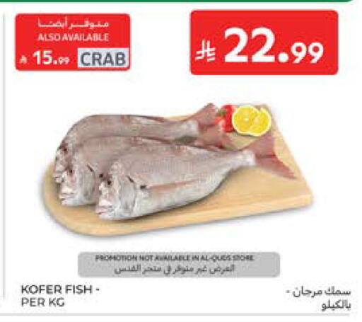 available at كارفور in مملكة العربية السعودية, السعودية, سعودية - المدينة المنورة