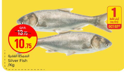 available at باريس هايبرماركت in قطر - الريان