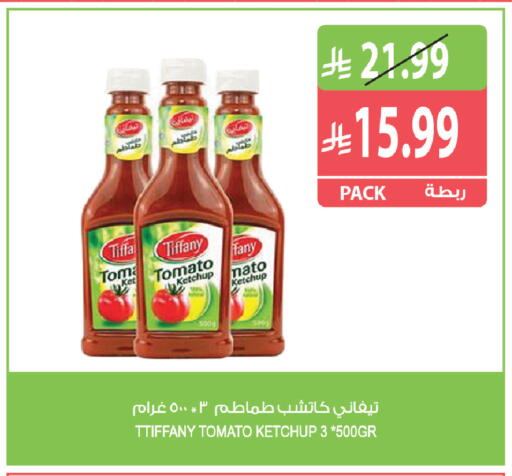 Tomato available at Farm  in KSA, Saudi Arabia, Saudi - Tabuk