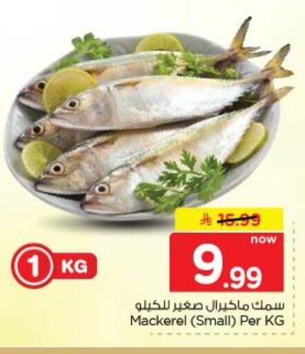 available at نستو in مملكة العربية السعودية, السعودية, سعودية - الخبر‎