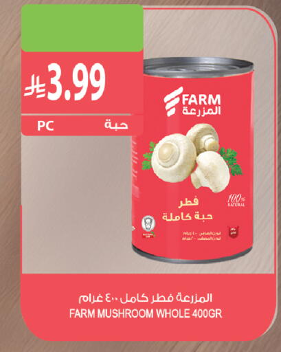 Mushroom available at Farm  in KSA, Saudi Arabia, Saudi - Al Khobar