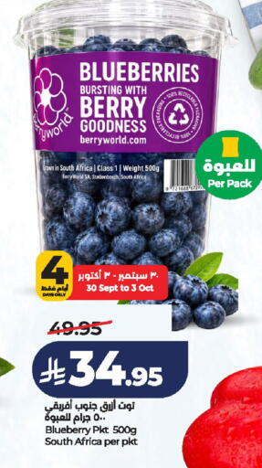 Blueberry BlueBerry from South Africa available at لولو هايبرماركت in مملكة العربية السعودية, السعودية, سعودية - الخرج